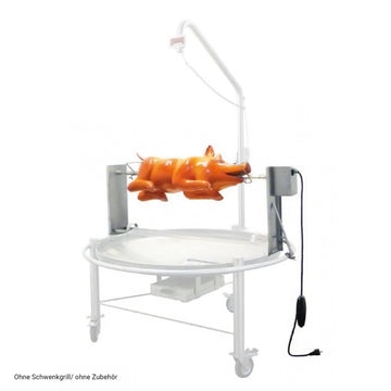 Drehspieß für Schwenkgrill SG1000 bis 2000 mit Antriebsmotor
